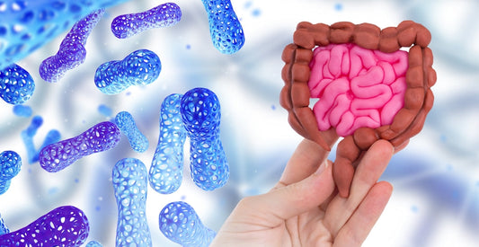 Gut Microbiome Disruptions in Long COVID and Post-Viral Fatigue Syndromes