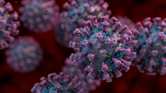 Similarities on a Cellular Level between SARS-CoV-2 and Other Viruses (EBV, HHV-6, CMV, Parvovirus B19, Enteroviruses)