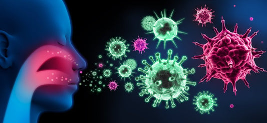 How Does Diet Affect the Immune System? Clinical Evidence on Nutrition and Immunity - AMLApureSuperC