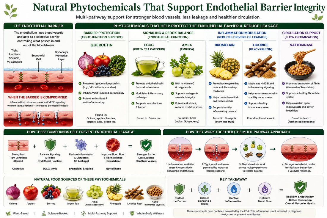What Does Research Say About Plant-Based Support After Viral Illness? - AMLApureSuperC
