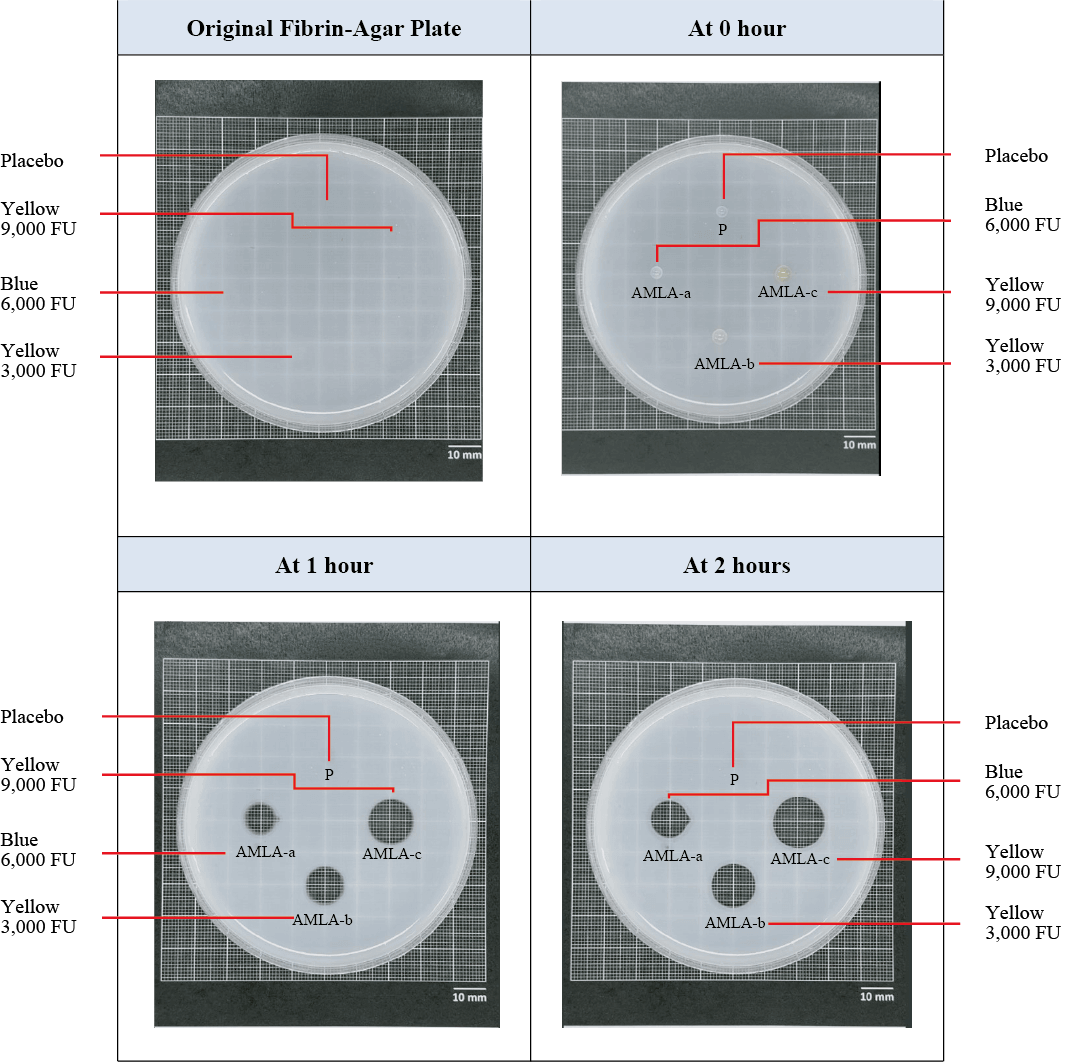 Vegan Nattokinase - Advanced Circulatory Support