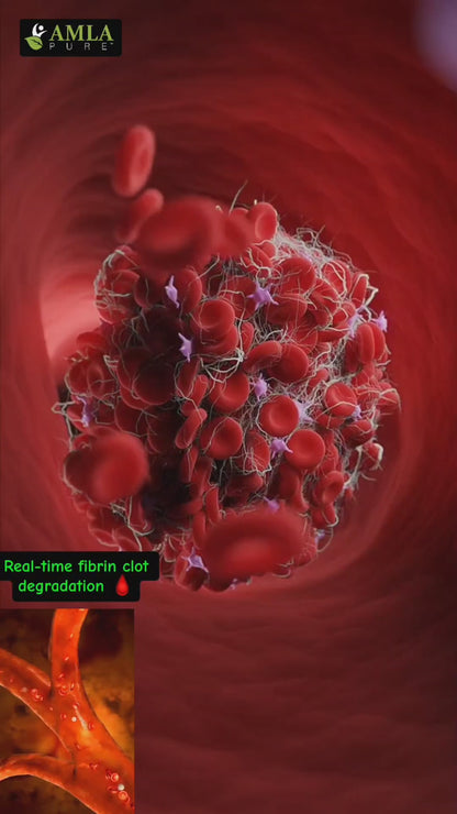 Vegan Nattokinase - Advanced Circulatory Support